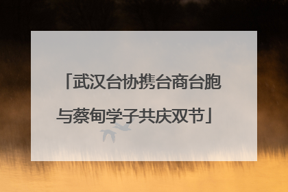 武汉台协携台商台胞与蔡甸学子共庆双节